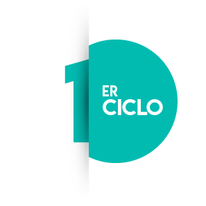 primer ciclo